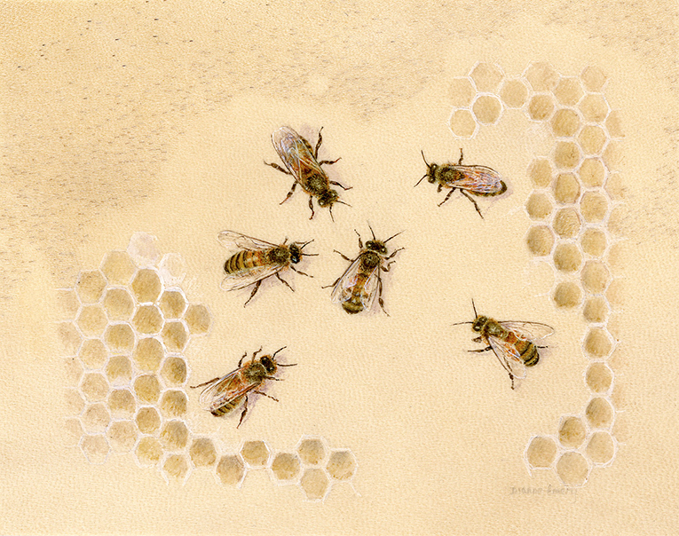 bees1