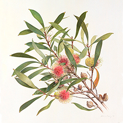 image33